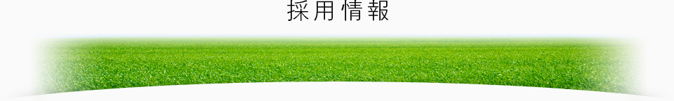 採用情報